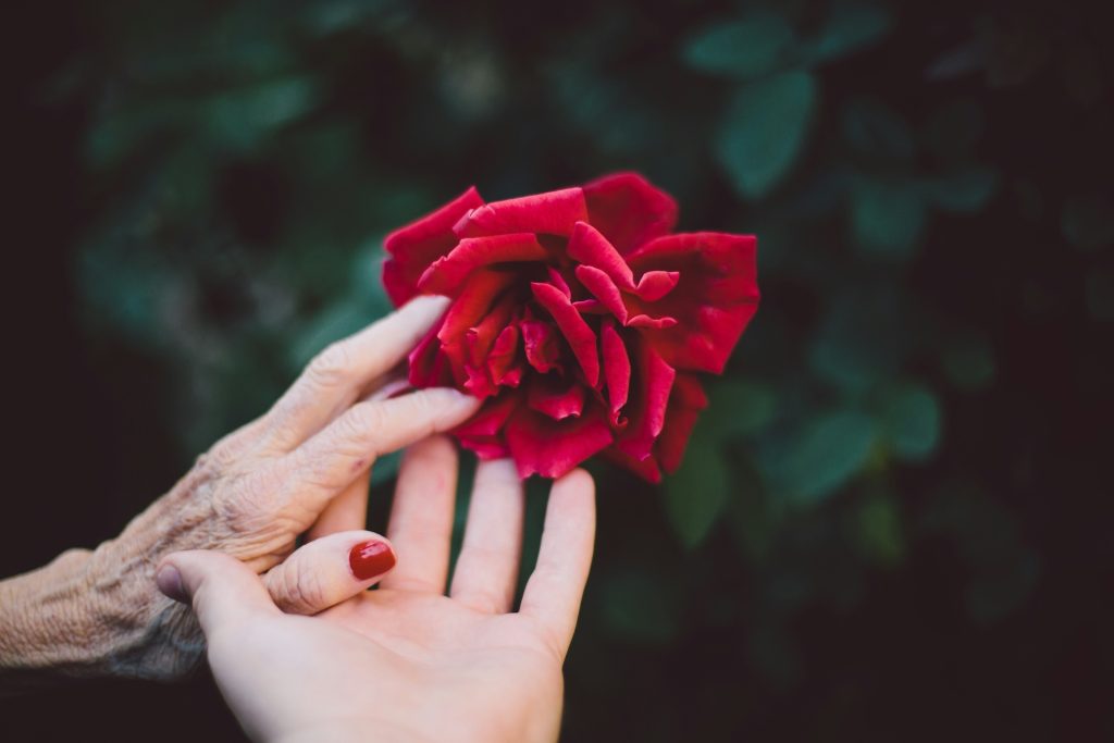 jake thacker i63yzy3s9ns unsplash