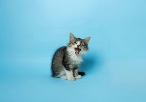 andy quezada s4ozw0uo4ri unsplash 2