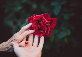 jake thacker i63yzy3s9ns unsplash